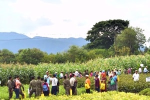 Día de campo con tecnologías agrícola